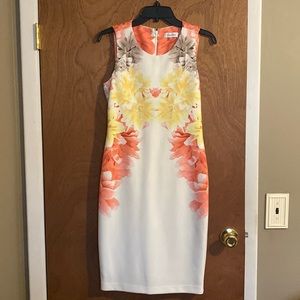 Calvin Klein Dress